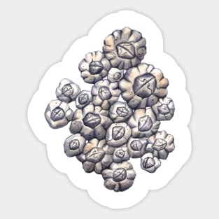 Northern Rock Barnacle Cluster Sticker